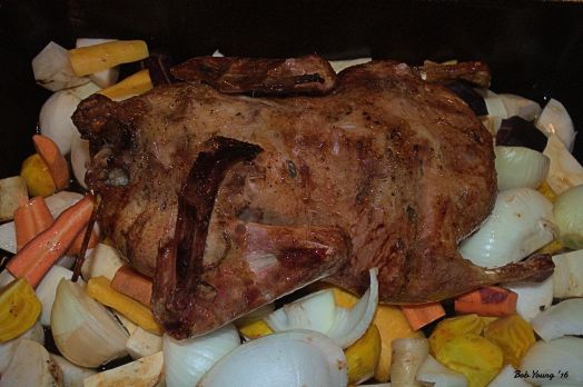 Lay the duck directly onto the vegetables and return to the 300°F oven. Cook for another hour.